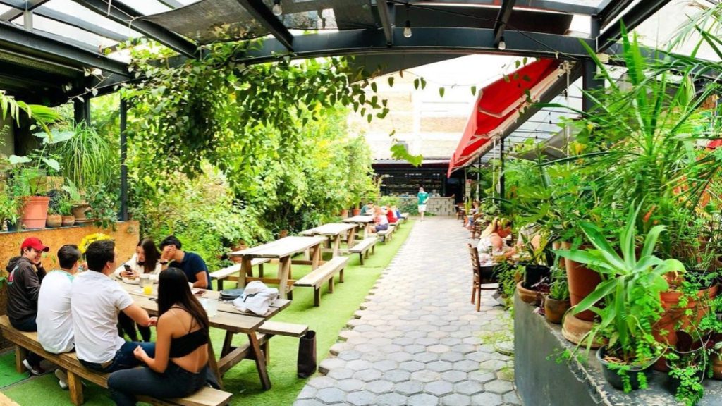 Lugares para brunch en CDMX