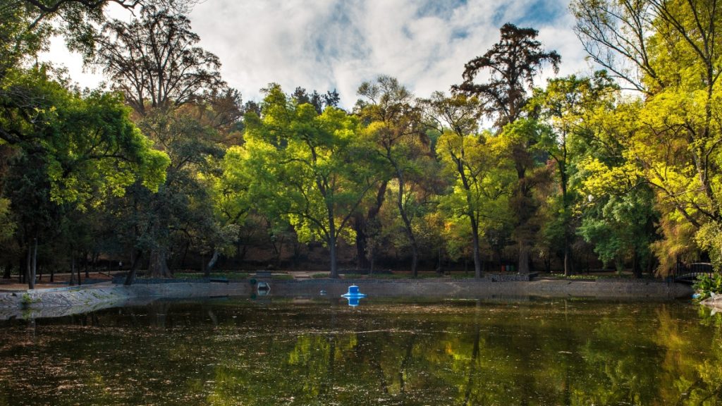 Lugares para picnic en CDMX