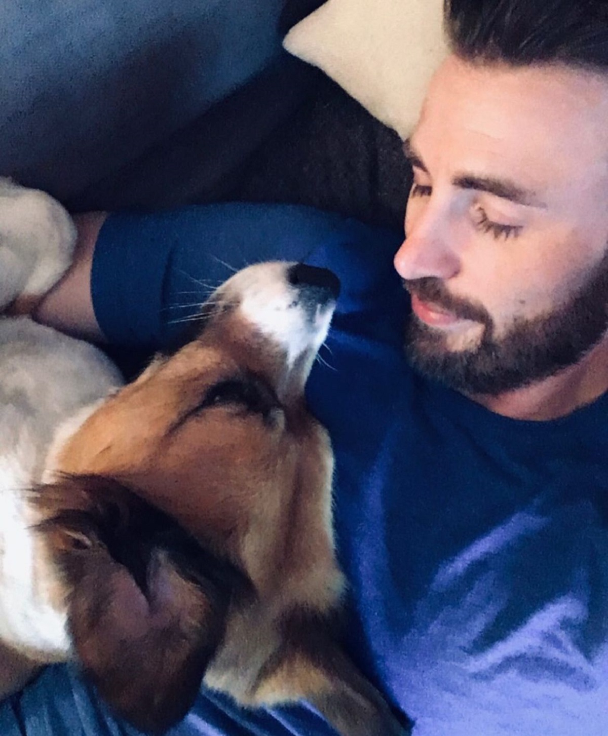 7 celebridades que aman a los perros tanto como nosotras