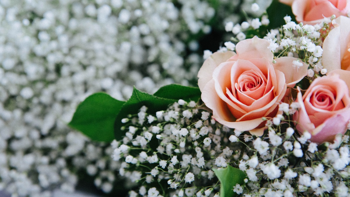 Si te vas a casar no uses estas flores, dice ‘wedding planner’