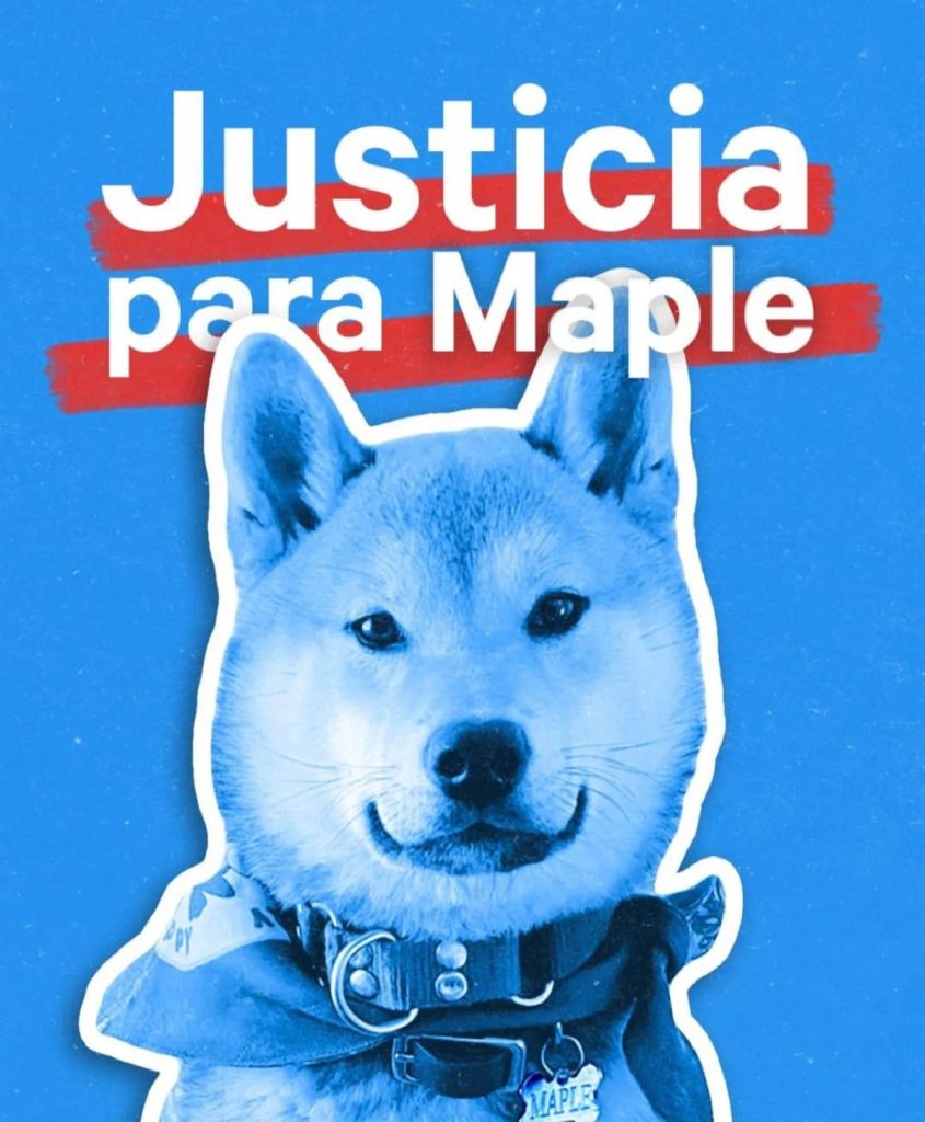 Justicia para Maple