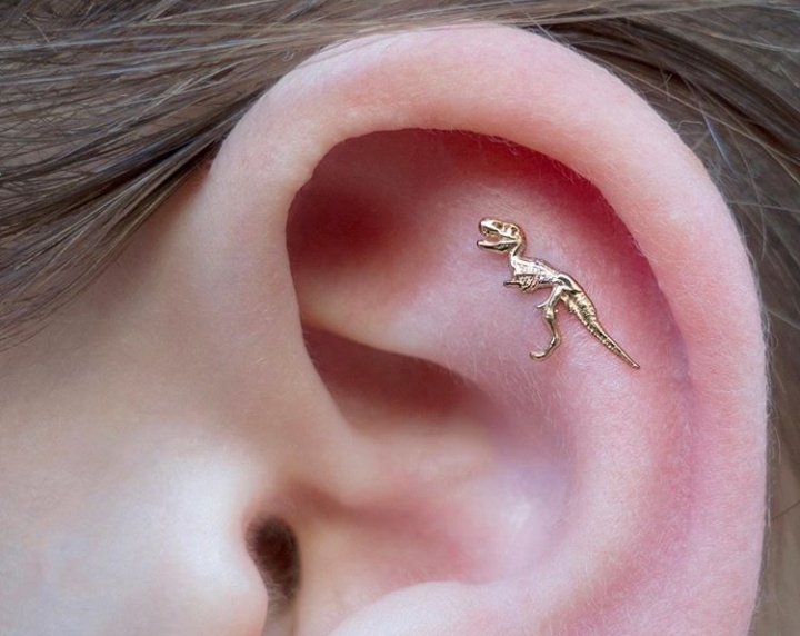 Piercings para las orejas