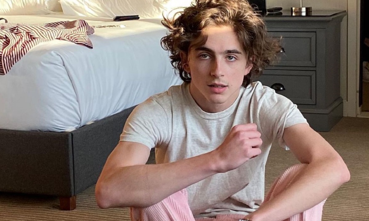 Timothée Chalamet tiene el accesorio perfecto para Halloween