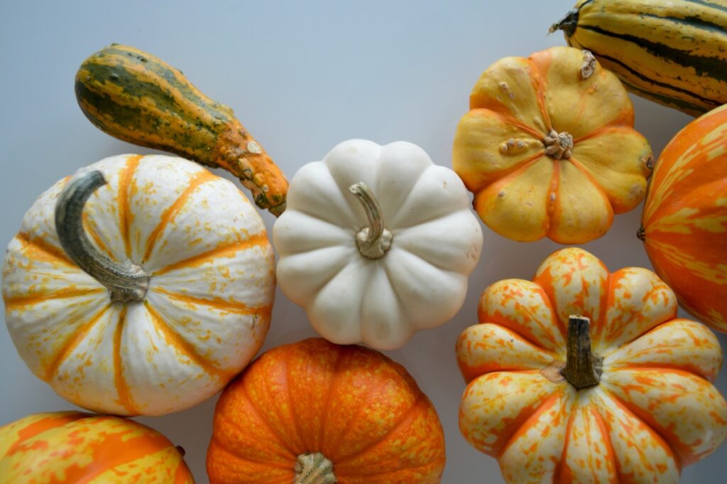 Beneficios de la calabaza