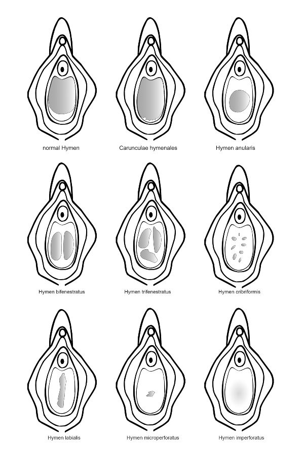 Mitos y realidades sobre el himen