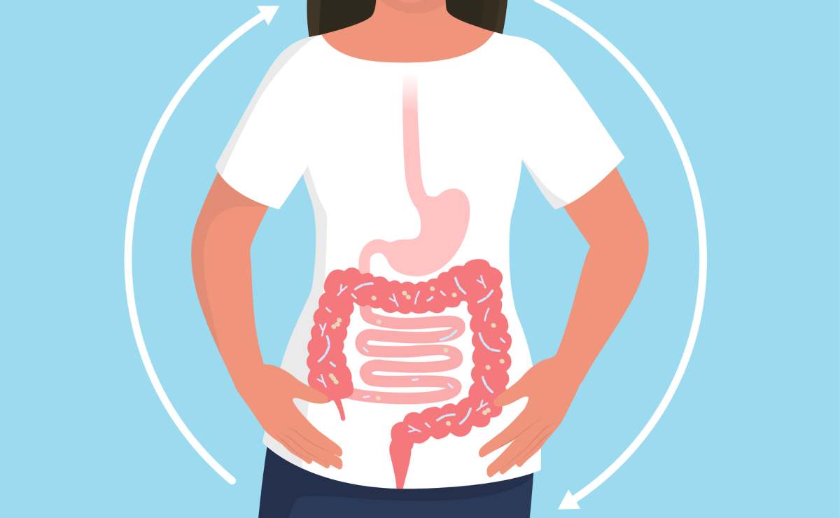¿Qué es la flora intestinal y por qué es tan importante?