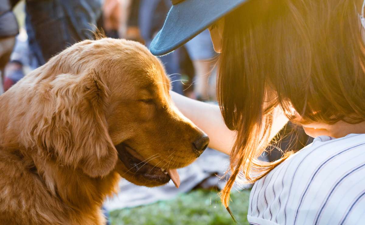 Qué necesitas para tener un perro de asistencia emocional