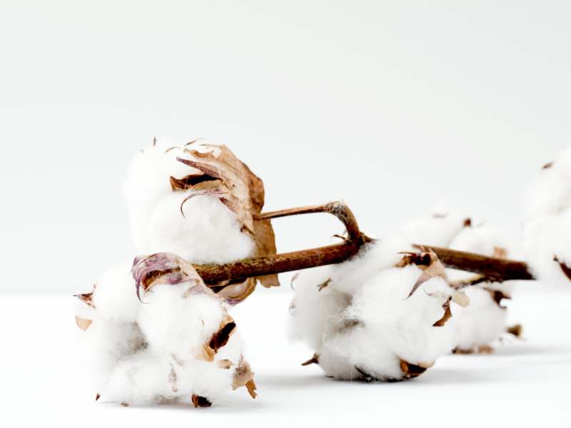 Ventajas de la ropa interior de algodón