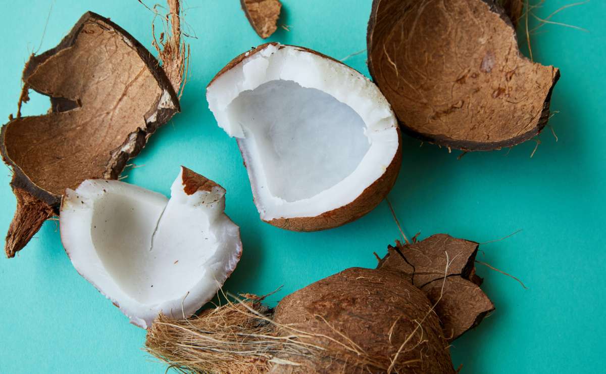 buenas razones para consumir coco regularmente