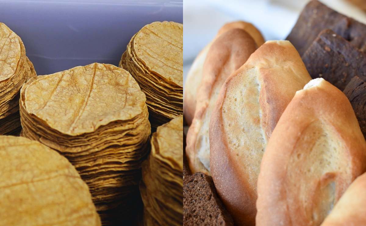 Una tortilla de maíz o un bolillo, ¿cuál es más saludable?