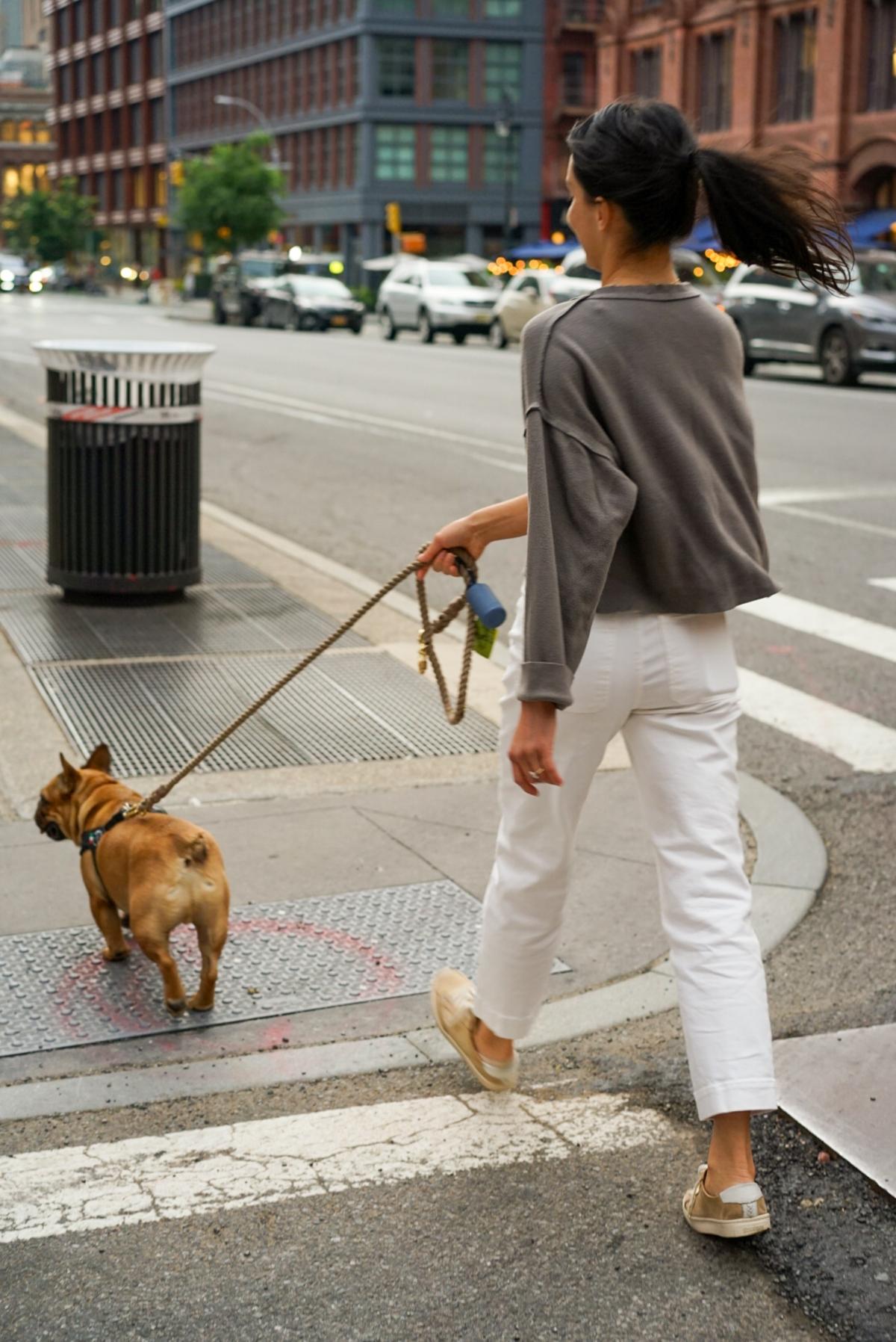 perros para mujeres