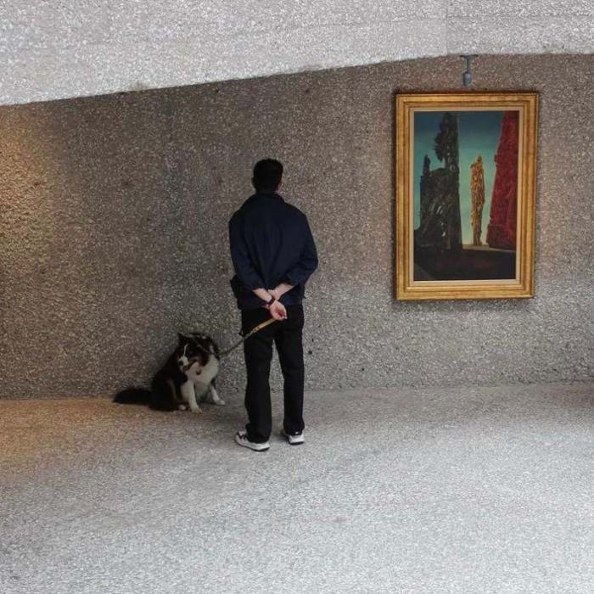 arte y perros