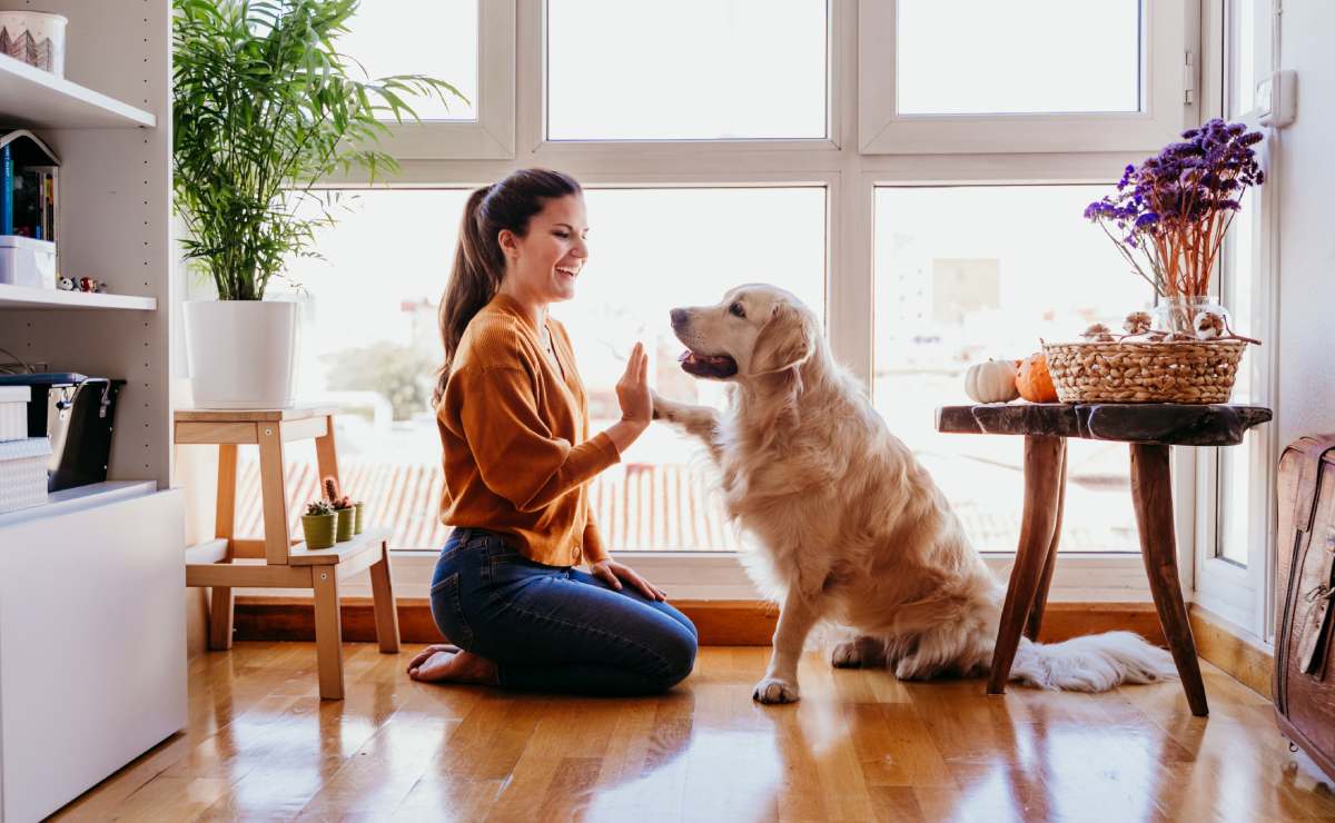 Adoptar una mascota mejora tu salud, por estas 10 razones
