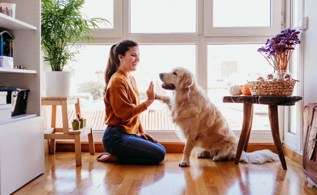 Adoptar una mascota mejora tu salud