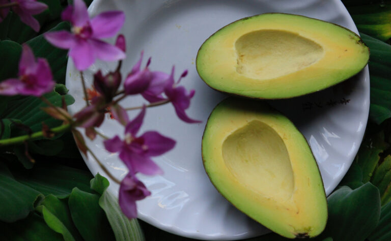 Alimentos que pueden favorecer la salud de tu vagina