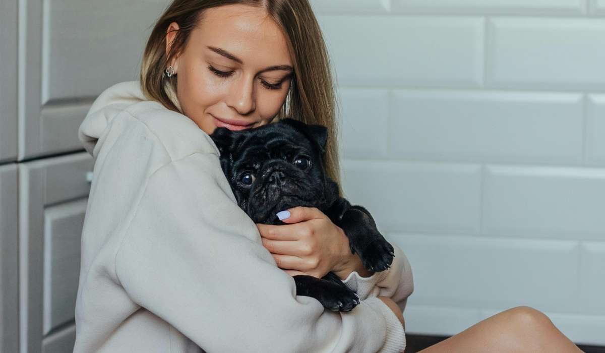 Qué es el Síndrome del Perro Negro - y por qué son menos adoptados 🐕